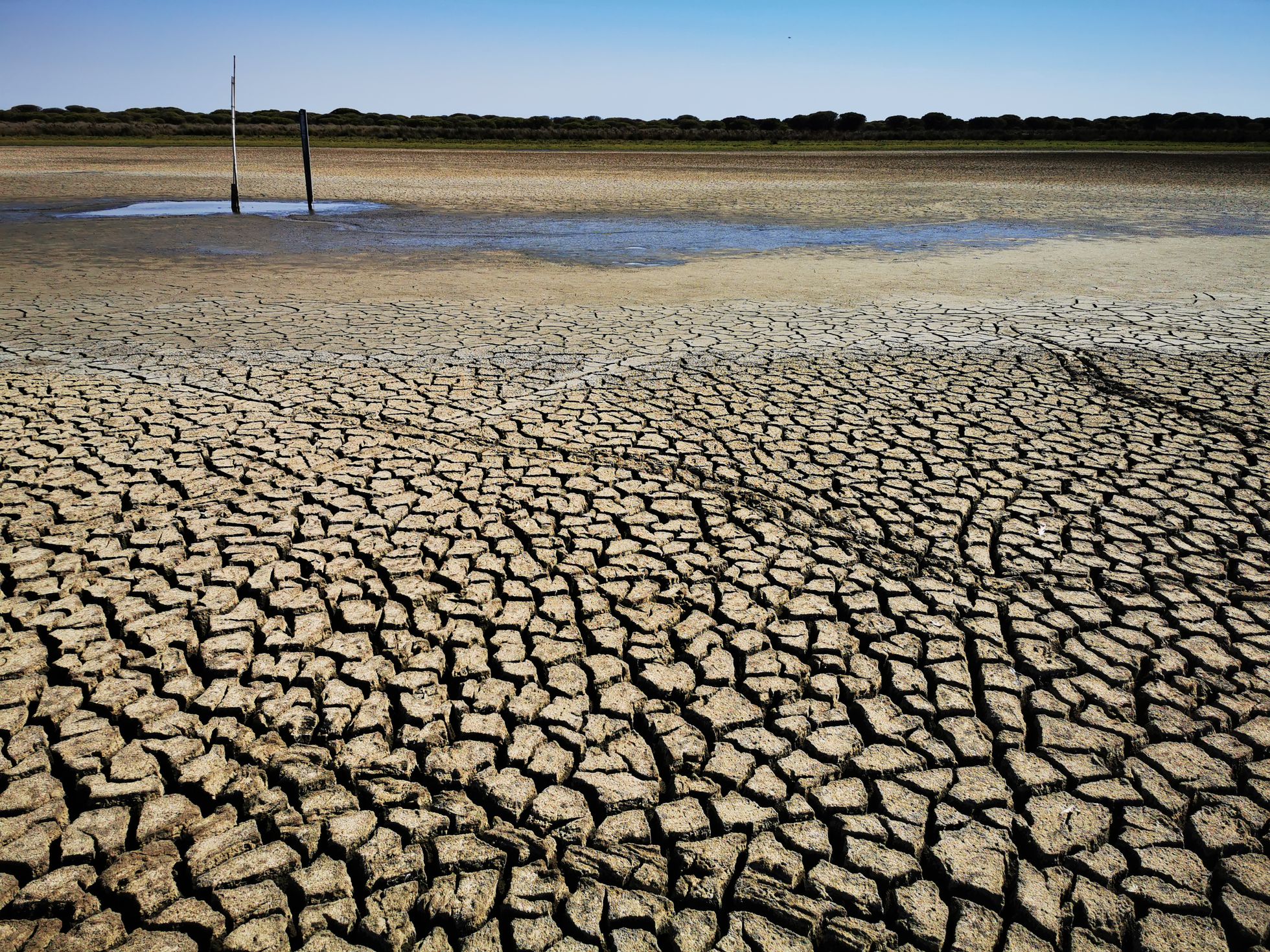 Drying world